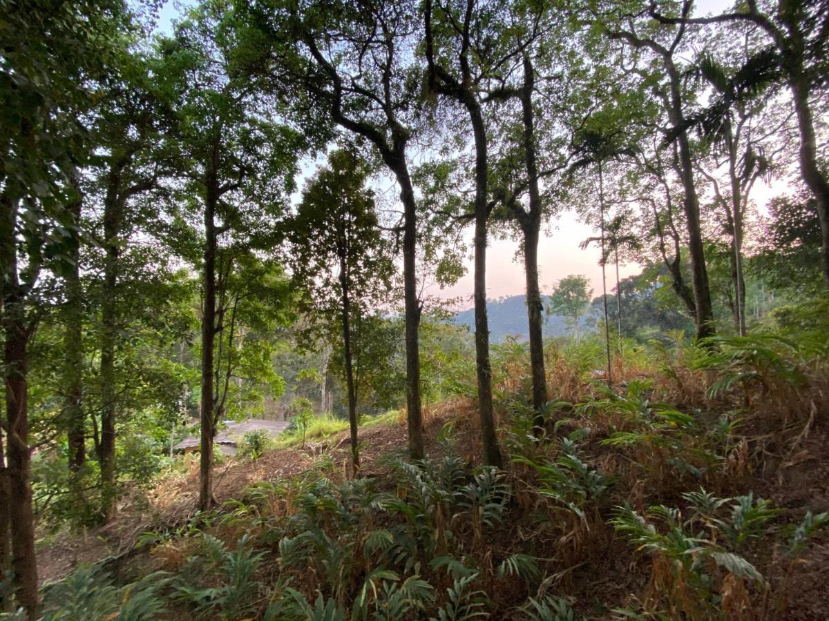 Nature Cool Villas Kallar Vattiyar Exterior foto